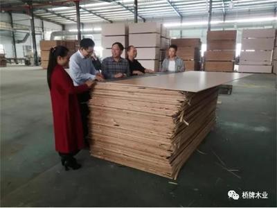 节后开工鼓士气 鹿寨县副县长张新成一行领导莅临桥牌走访慰问